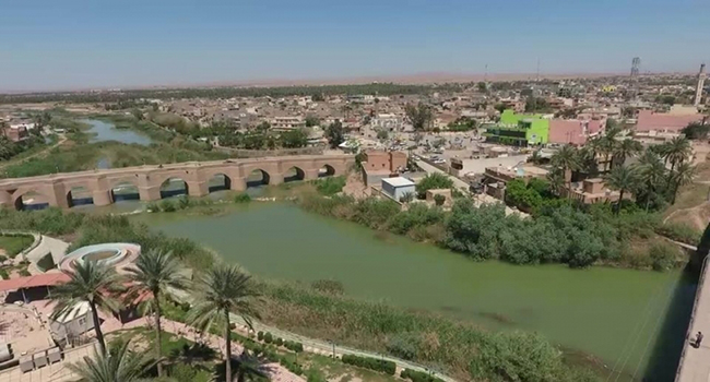 حملة في خانقين لتشجير "الالبيزيا"